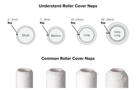 What is Nap on a Paint Roller: A Journey Through Texture and Imagination