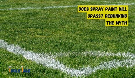 Will Spray Paint Kill Grass? Exploring the Unlikely Connection Between Art and Lawn Care